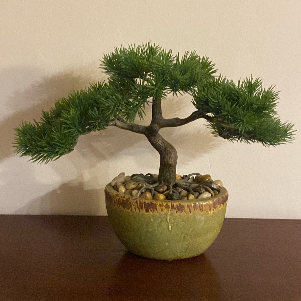 Faux Bonsai